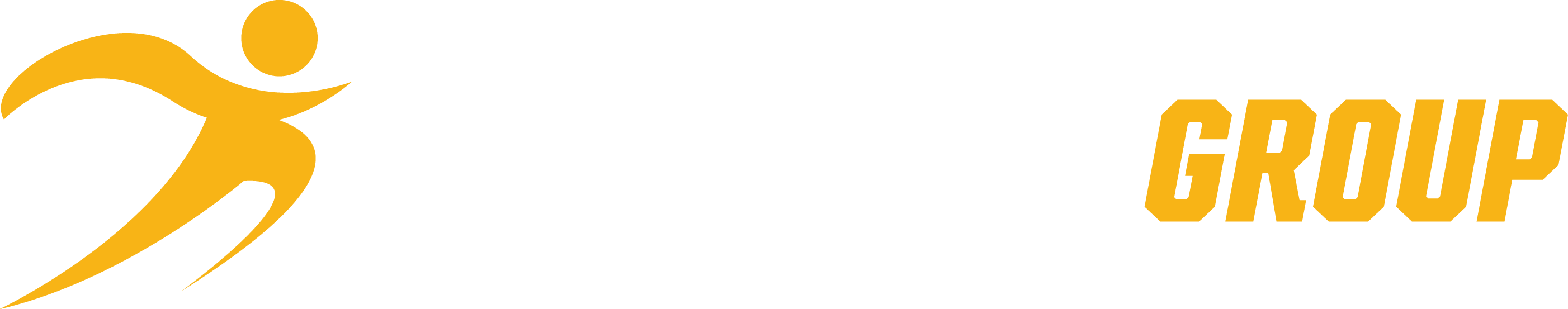THE FITNESS GROUP